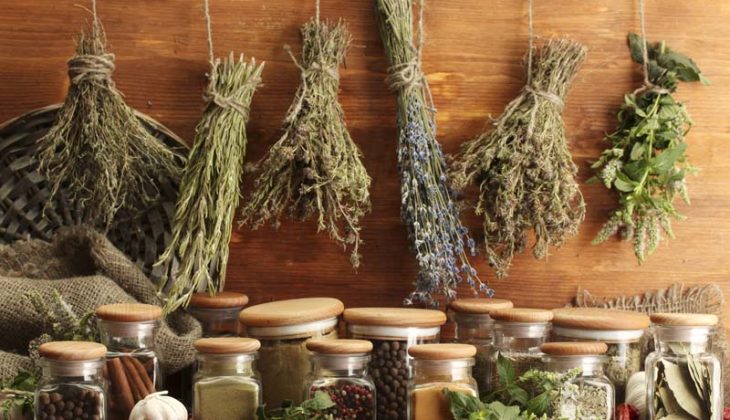 5 astuces pour sécher vos plantes aromatiques