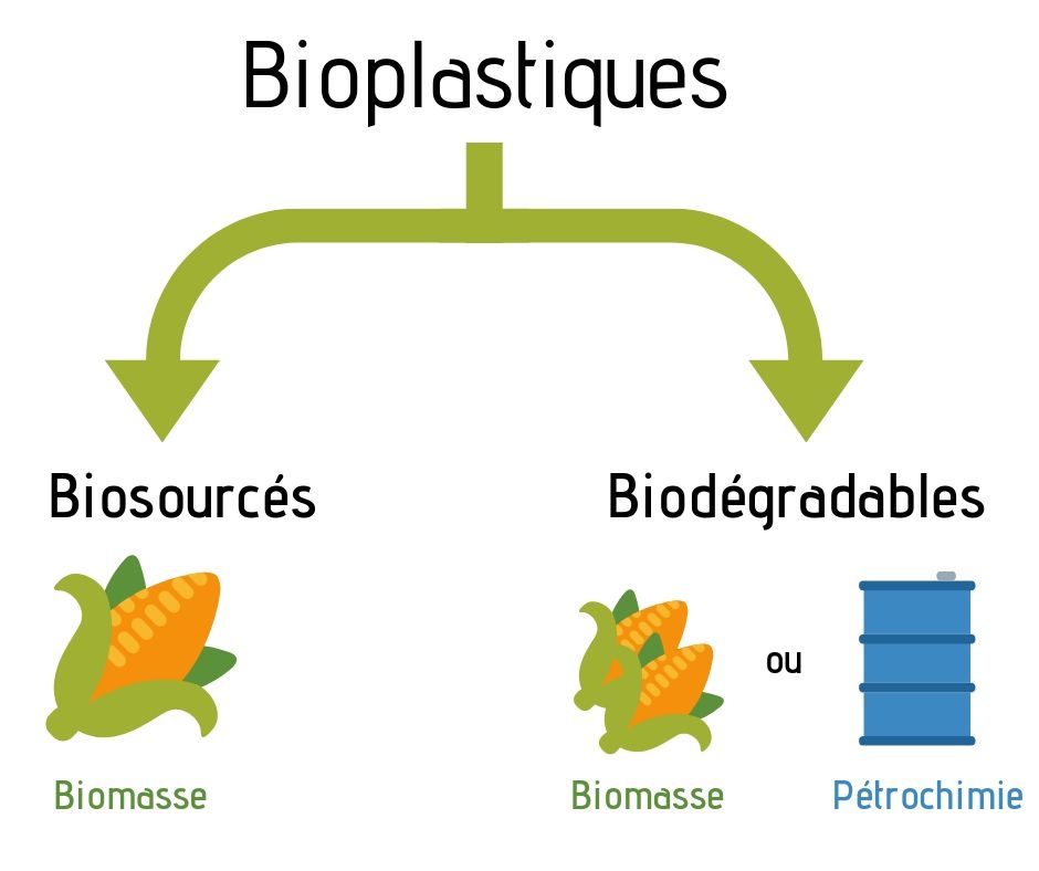 Schéma explicatif bioplastiques, biosourcés et biodégradables
