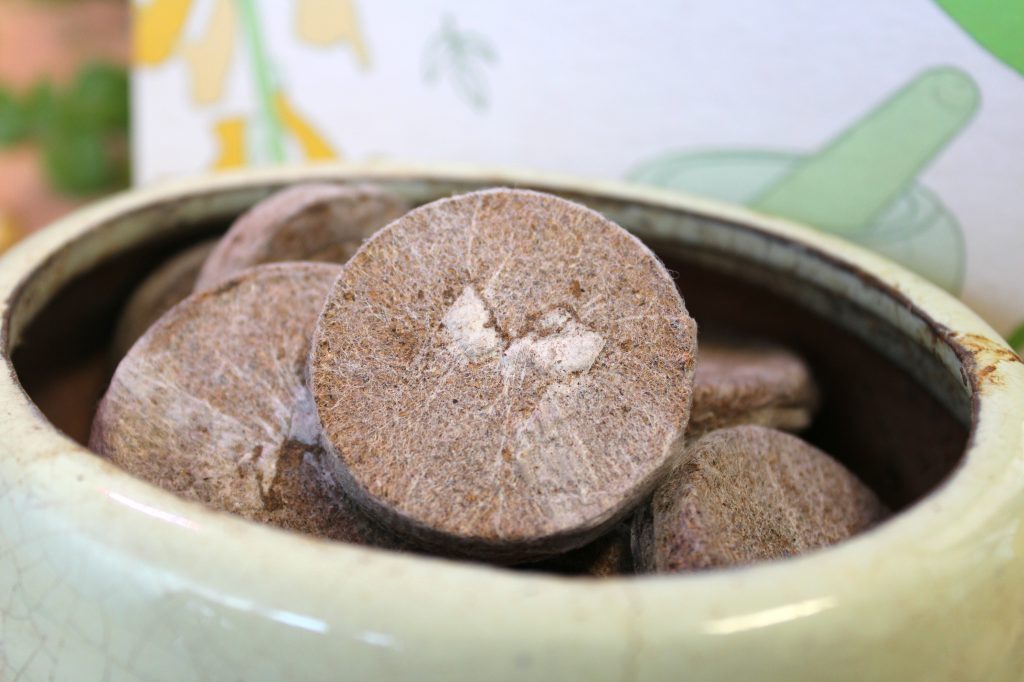 Les pastilles de coco pour le semis