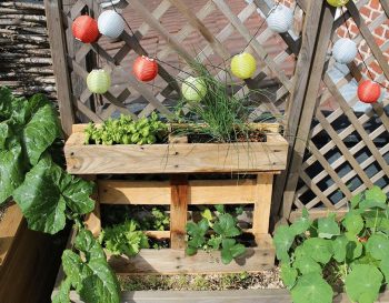 14 Idées pour jardiner sans déchets