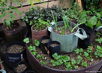 Géotextile Smart grow Pot déco jardin 10 Root Pouch rouge 18L 