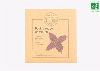 Basilic rouge Osmin